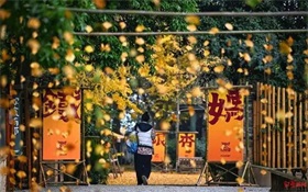 巴西咖啡产业对中国市场充满期待